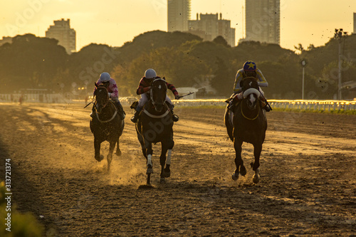 rider on horse race palermo argentina