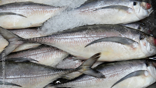 Sea bass fish on ice at Supermarket and department store, Ingredients for cooking, food concept. .