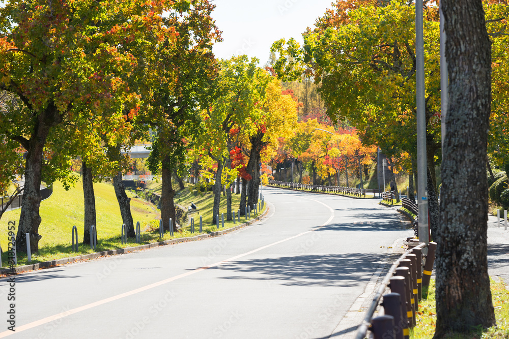 Obraz premium 吹田市の秋