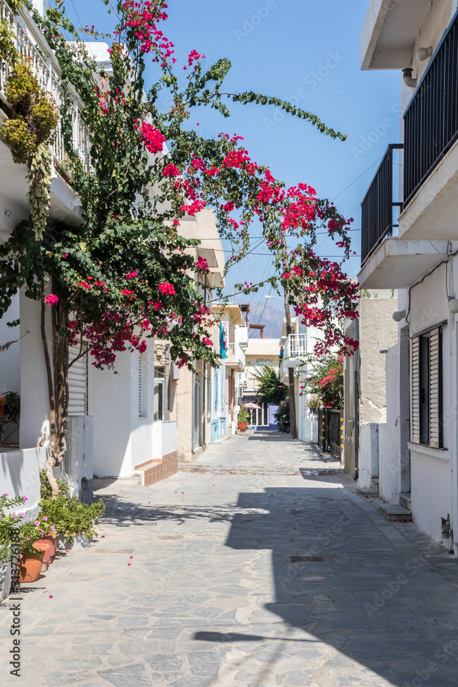 Typical street with bougainvilleae