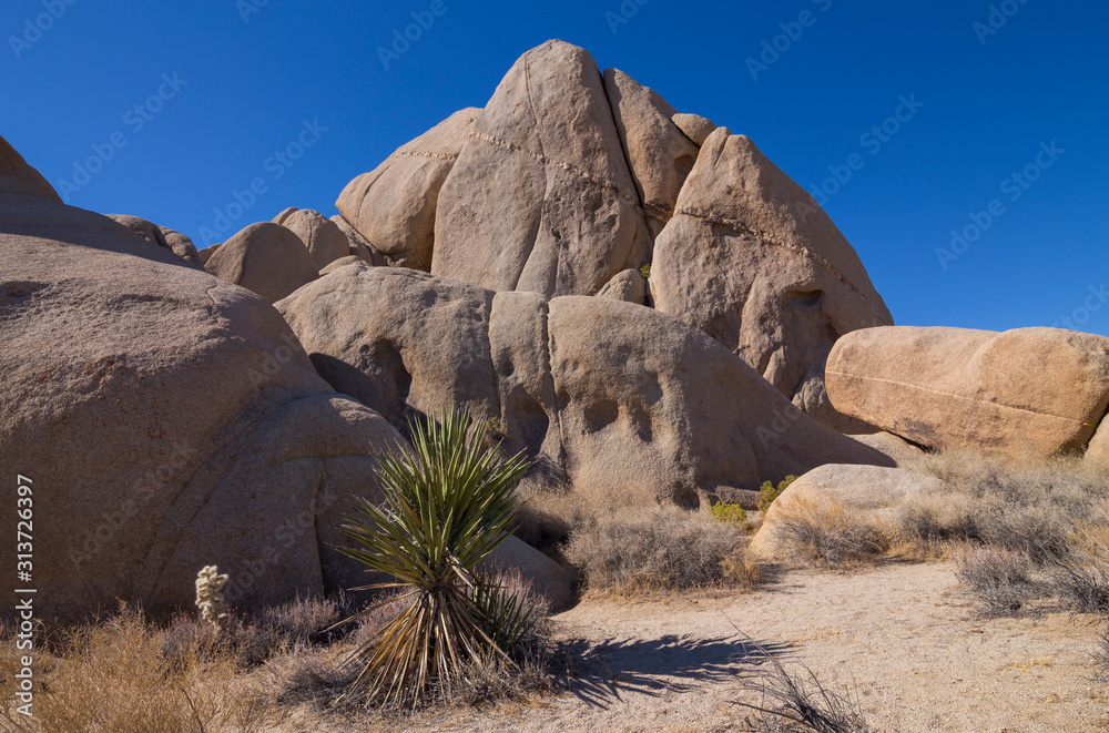 Rock formations at Live Oak picnic area, Joshua Tree National Park, California, USA