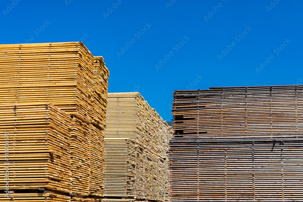 An abundance of timber planks are seen stored in a sawmill yard. Manufacture of natural building materials in British Columbia, Canada. With Copy space An abundance of timber planks are seen stored in a sawmill yard. Manufacture of natural building materials in British Columbia, Canada. With Copy space