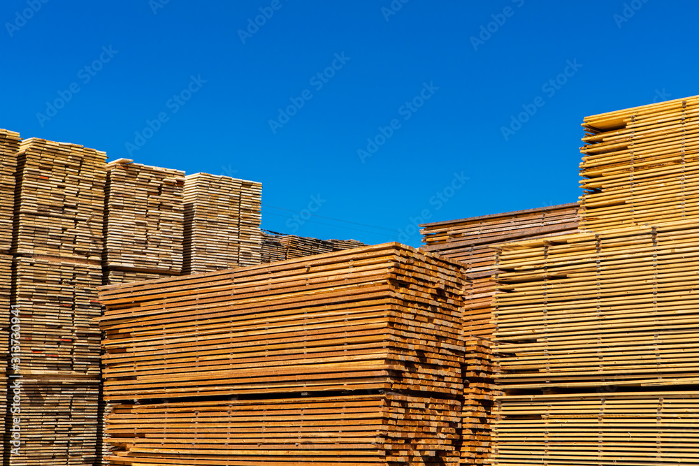 Pallets of treated pine planks are seen stockpiled in a builder merchants yard. Wooden beams and boards beneath a blue sky with copy space. Pallets of treated pine planks are seen stockpiled in a builder merchants yard. Wooden beams and boards beneath a blue sky with copy space.