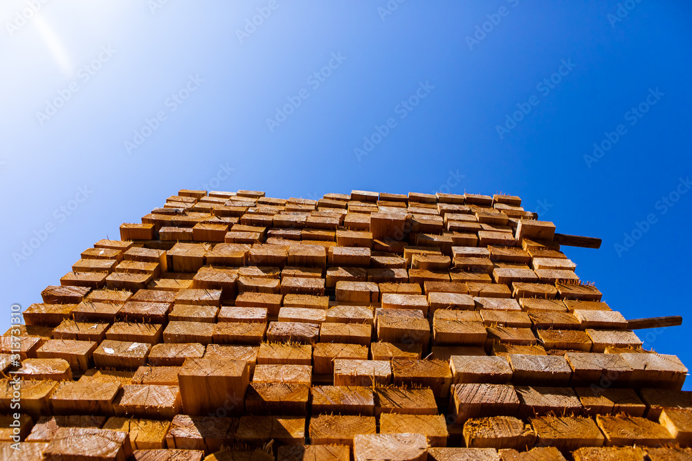 Midday sun creates a lens flare over a tall pile of treated pinewood boards, treated and sawn in a sawmill yard, with blue sky and copy space above Midday sun creates a lens flare over a tall pile of treated pinewood boards, treated and sawn in a sawmill yard, with blue sky and copy space above