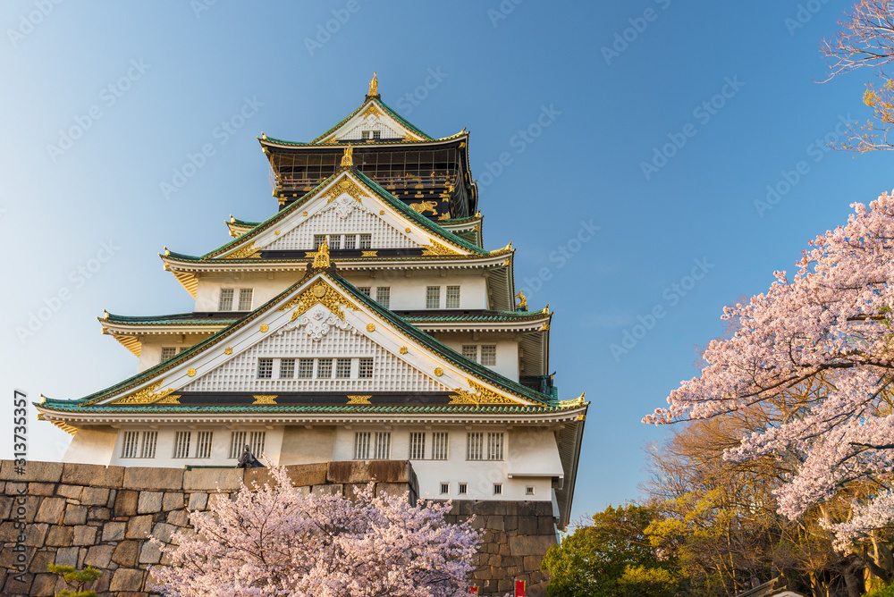Osaka castle with blossom sakura flower in Japan Osaka castle with blossom sakura flower in Japan
