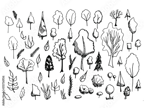 Set of hand drawn different trees, bushes made in cartoony dodle style. Black cute illustrations isolated on white background.