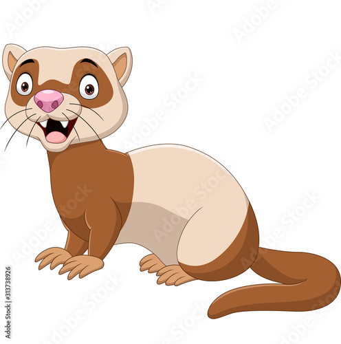 Cartoon funny ferret isolated on the white background