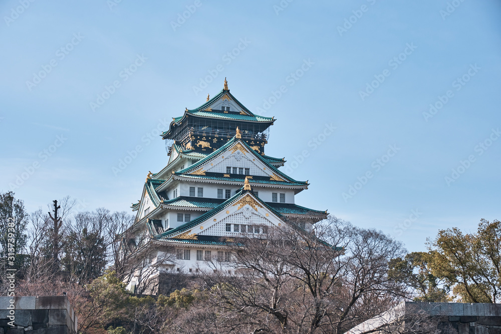 Fototapeta premium Osaka Castle