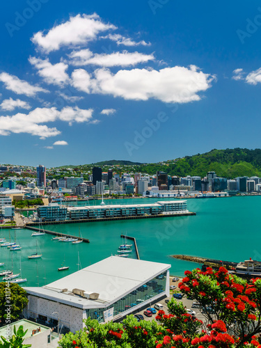 Wellington city, buildings and harbour seen from Mount Victoria with a summer flowering Pohutukawa tree in the foreground. Wellington is the capital of New Zealand.	 photo