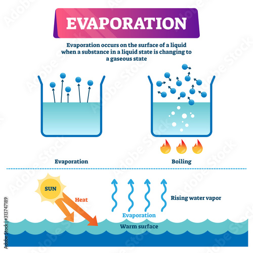 Evaporation vector illustration. Labeled liquid to gas state process scheme photo