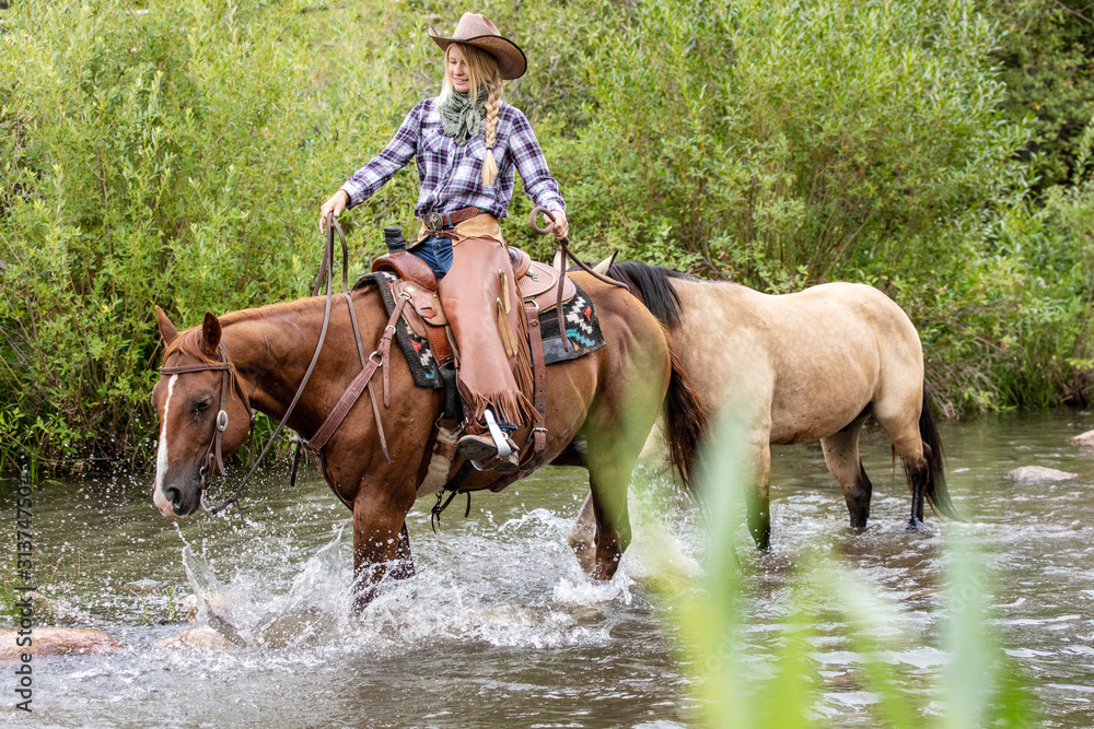 Cowgirl Leading Horse in water