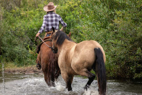 Cowgirl Leading Horse in water © Terri Cage 
