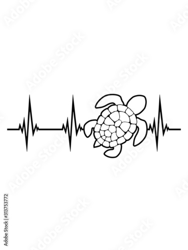 Herzschlag EKG Meeresschildkröte echs