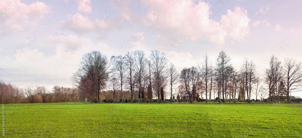 Fototapeta premium Panoramic view of a cemetery in the early winter without snow