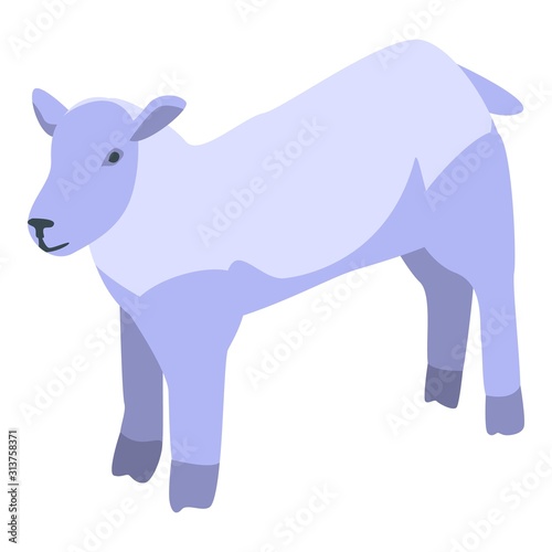 Mammal sheep icon. Isometric of mammal sheep vector icon for web design isolated on white background