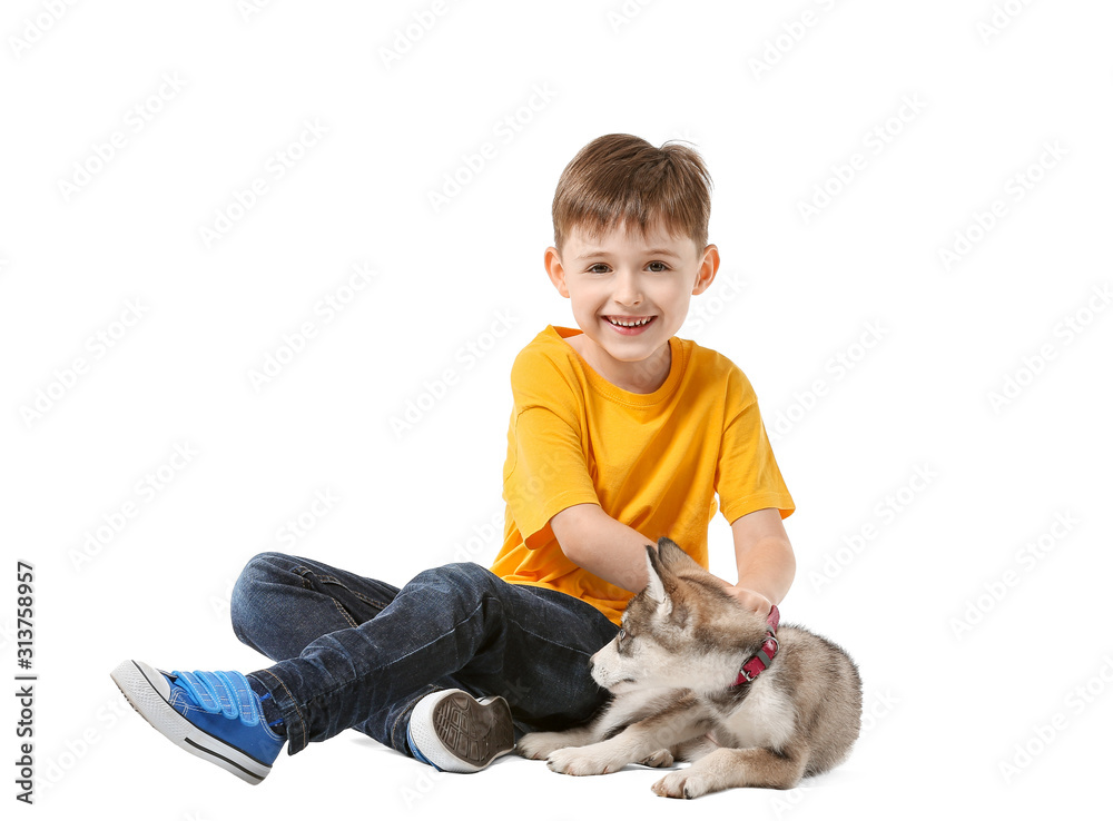 Little boy with cute husky puppy on white background Little boy with cute husky puppy on white background