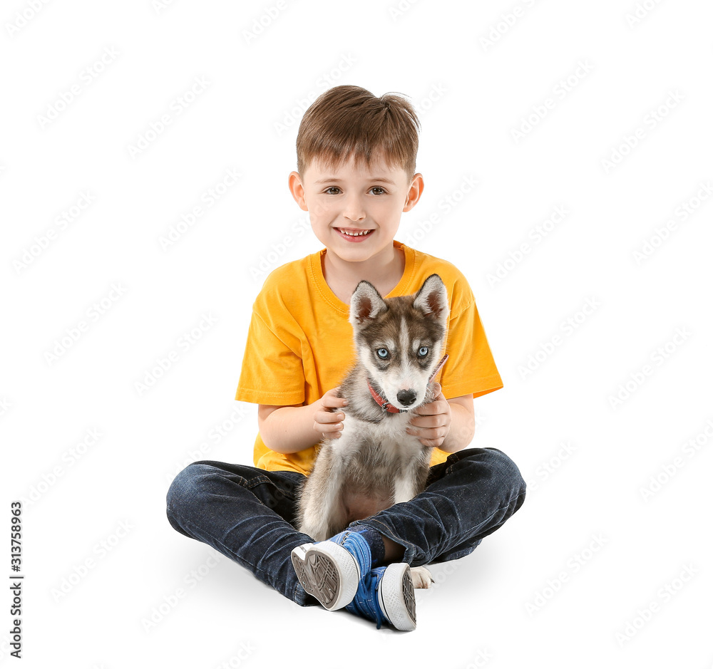 Obraz premium Little boy with cute husky puppy on white background