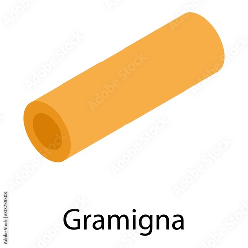Gramigna pasta icon. Isometric of gramigna pasta vector icon for web design isolated on white background photo