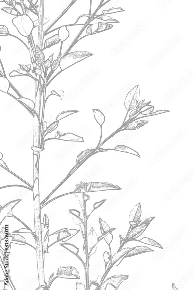 Naklejka premium set of silhouettes