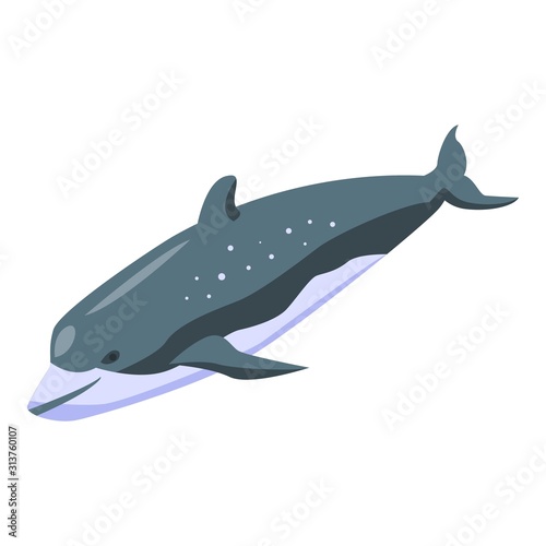 Fish whale icon. Isometric of fish whale vector icon for web design isolated on white background