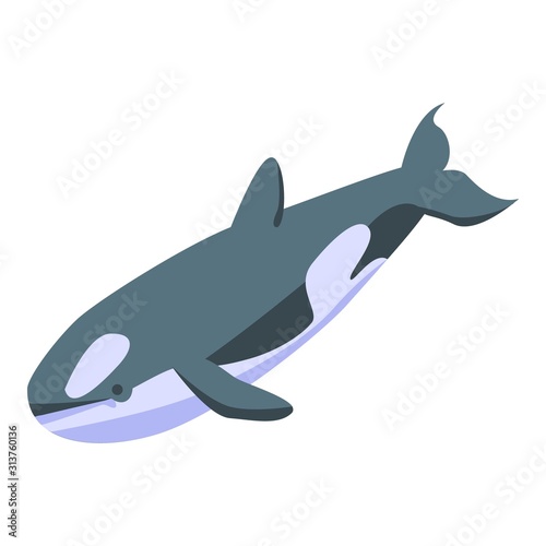 Orca whale icon. Isometric of orca whale vector icon for web design isolated on white background