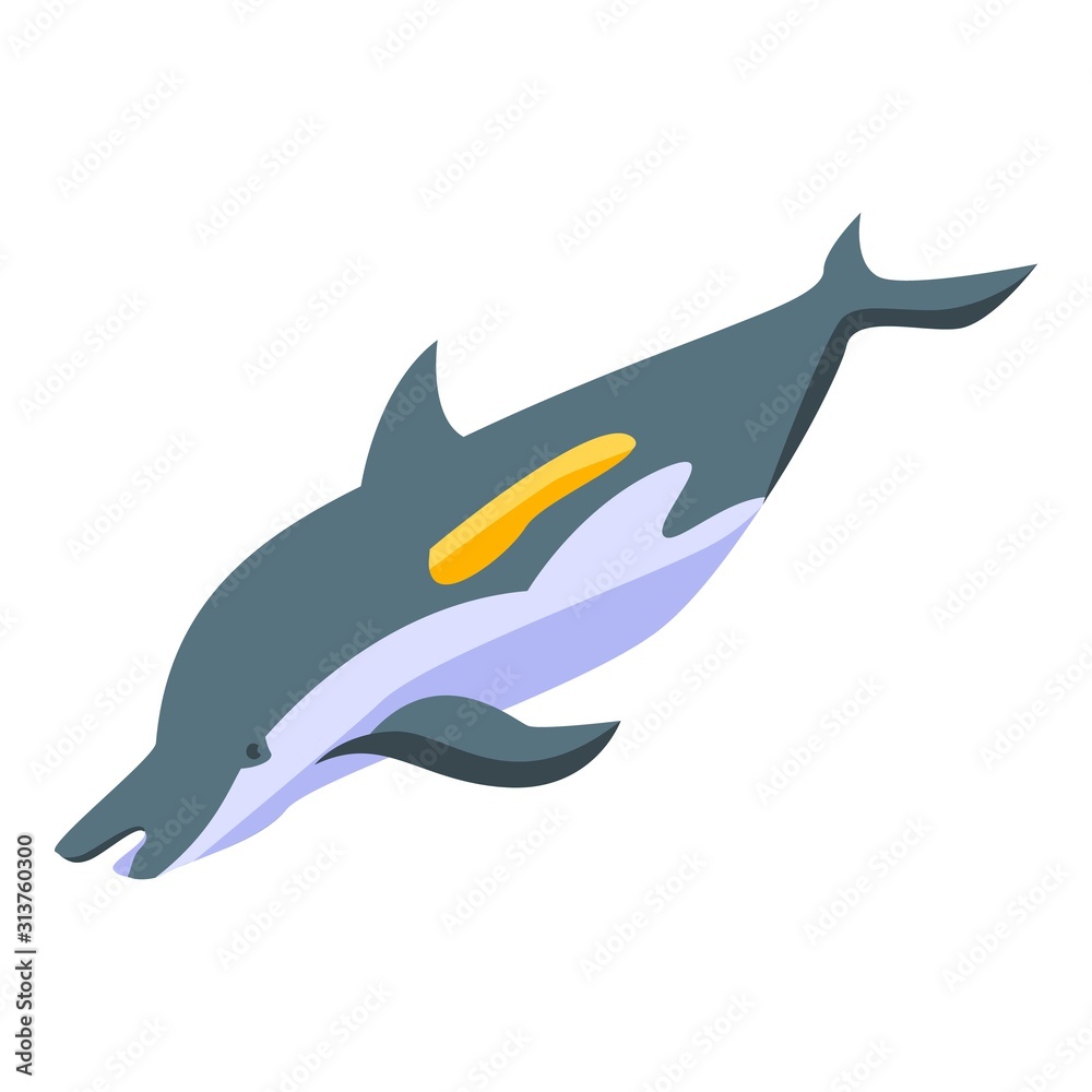 Obraz premium Dolphin whale icon. Isometric of dolphin whale vector icon for web design isolated on white background