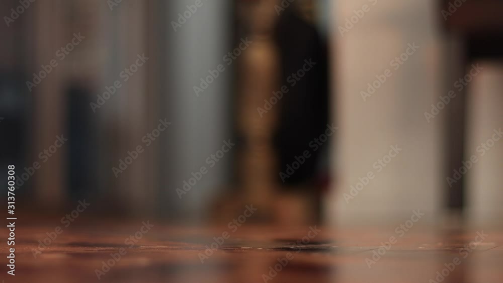 Close up of cute miniature fox terrier dog fetching a ball indoors.