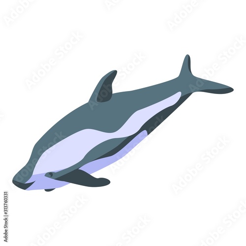 Arctic whale icon. Isometric of arctic whale vector icon for web design isolated on white background