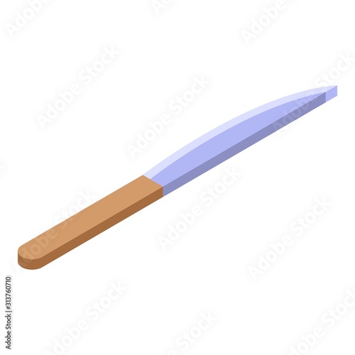 Kitchen knife icon. Isometric of kitchen knife vector icon for web design isolated on white background