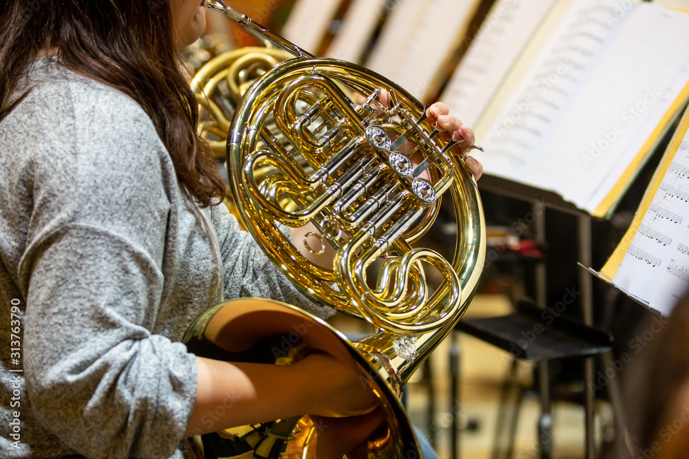 Fototapeta premium Young woman playing on french horn during philharmonic concert