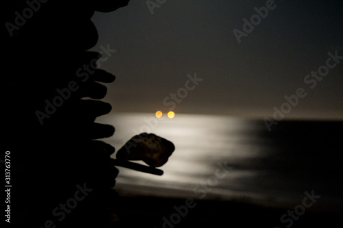 silhouette of seashell at sunset