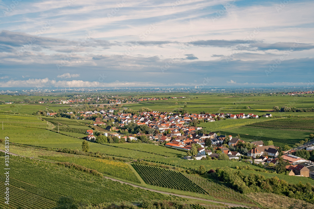 Blick über den Pfälzer Wald nach Grünstadt