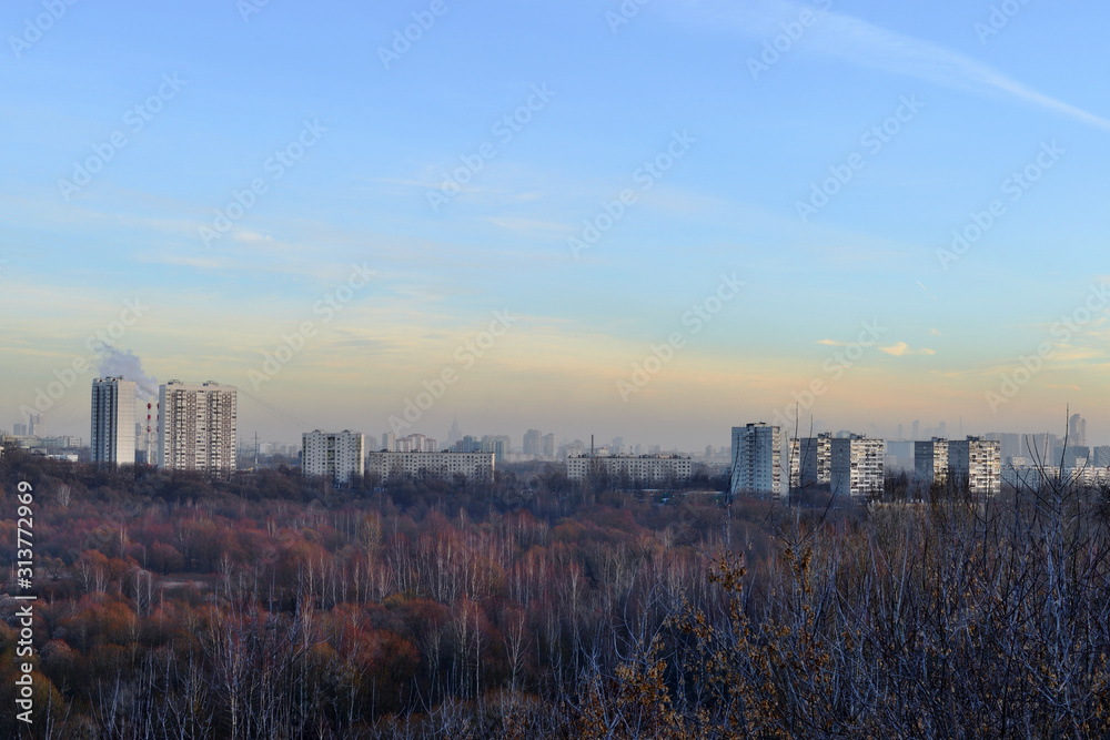 Obraz premium View of a big city from a city park in late autumn on a clear day