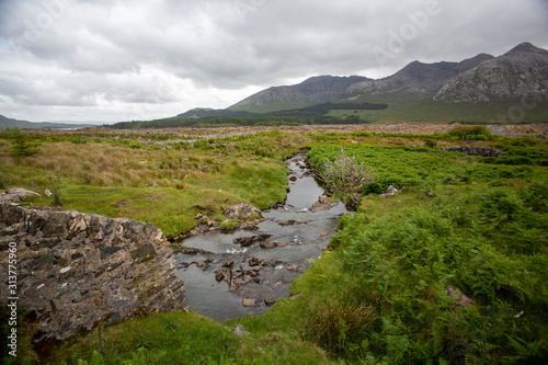 Foto Fields of Connemara, Ireland