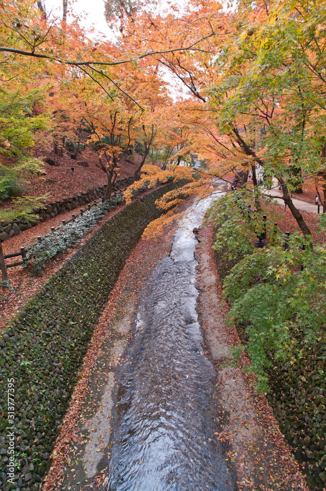 The scenery of autumn leaves in Kyoto,Japan. The scenery of autumn leaves in Kyoto,Japan.