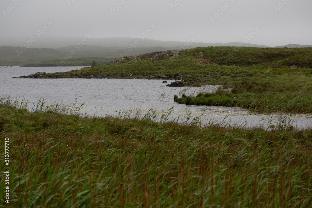 Fields of Connemara, Ireland