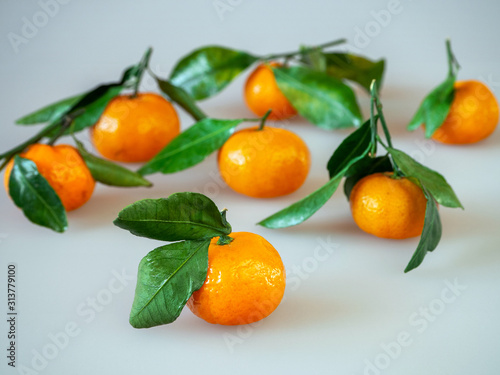 Tangerines isolated on a white background. On tangerines there were branches with leaflets.