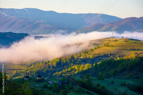 mountainous countryside in the morning. valley full of rising fog. green foliage on trees. wonderful nature scenery in springtime