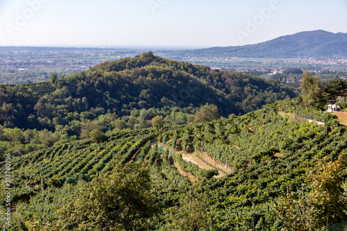 Picturesque hills with vineyards of the Prosecco sparkling wine region between Valdobbiadene and Conegliano  Italy. © wjarek