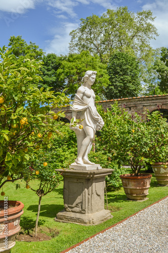 Palazzo Pfanner, Lucca