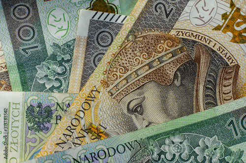 Background with money. Lot of various polish currency. Polish zloty banknotes. Polish money. PLN