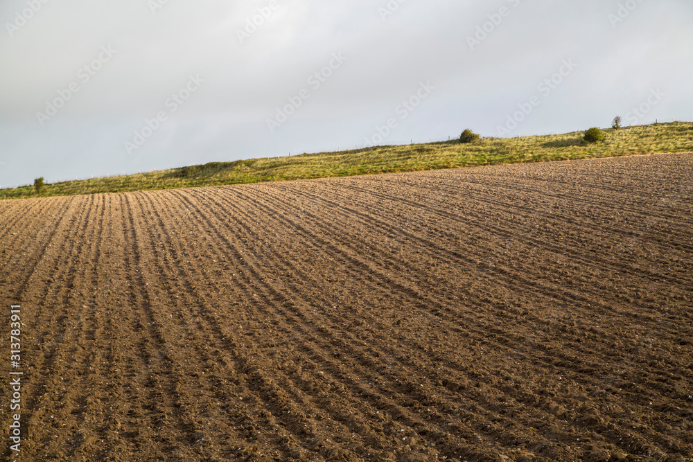 Agricultural fields and landscape in Dorset