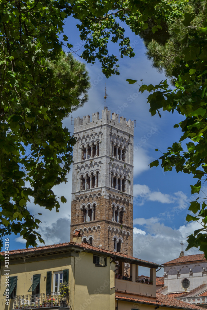 The view from the Lucca city wall