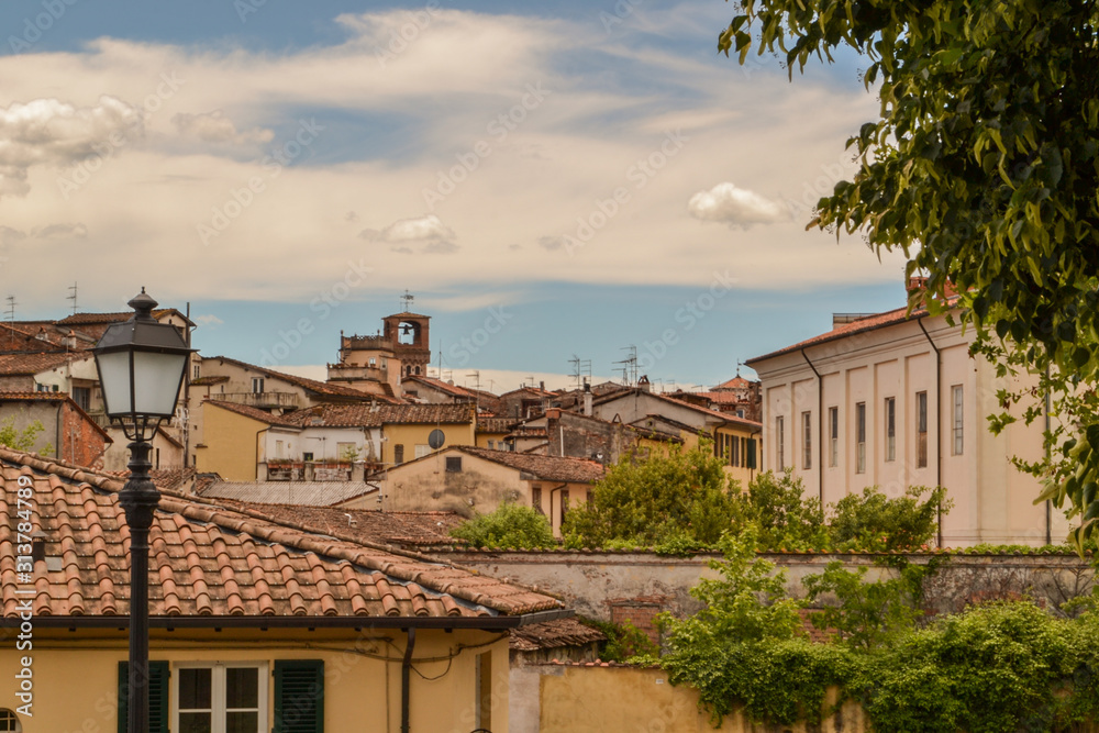 Lucca View