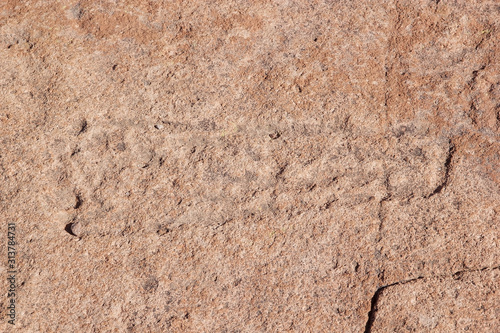 Campo Las Tobas a site with rock art in which the engravings were made on the ground, Argentina photo