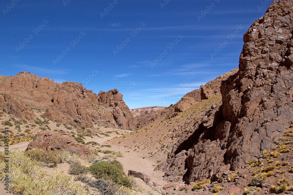Canyon in the Puna de Atacama, Argentina