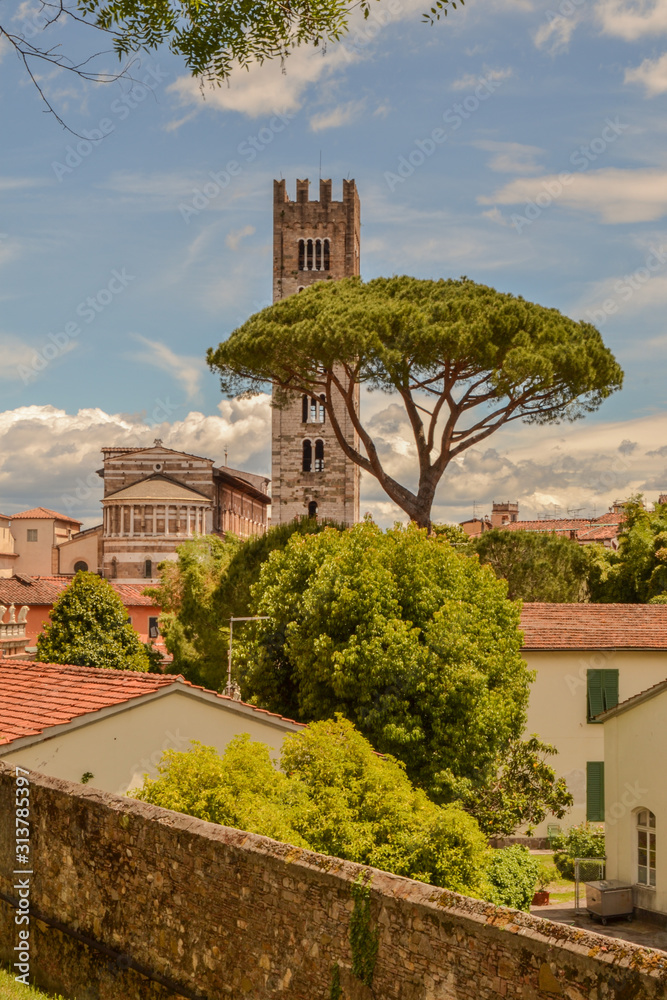 Naklejka premium Lucca