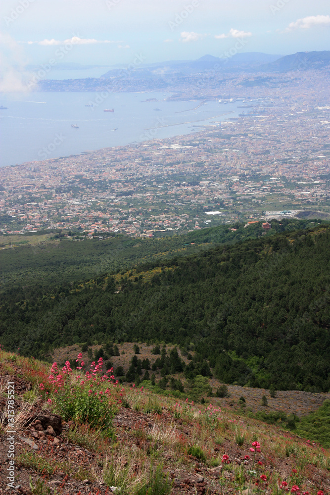 Naklejka premium City of Naples and the appendant bay seen from the peak of Mount Vesuvius, Golfo di Napoli, Italy