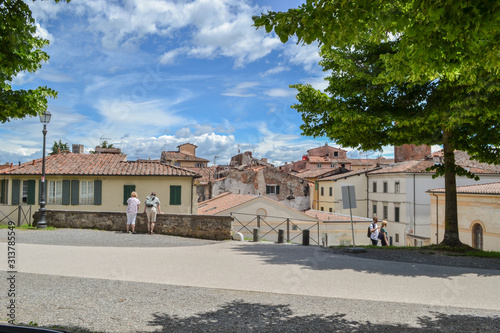 The view from the Lucca city wall