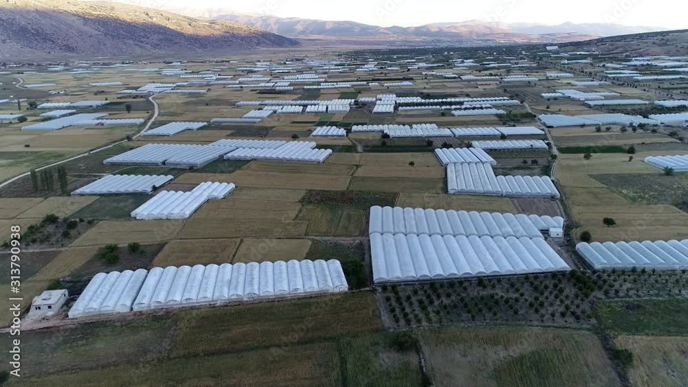 Dozens of tomato greenhouses on the wide plain Dozens of tomato greenhouses on the wide plain